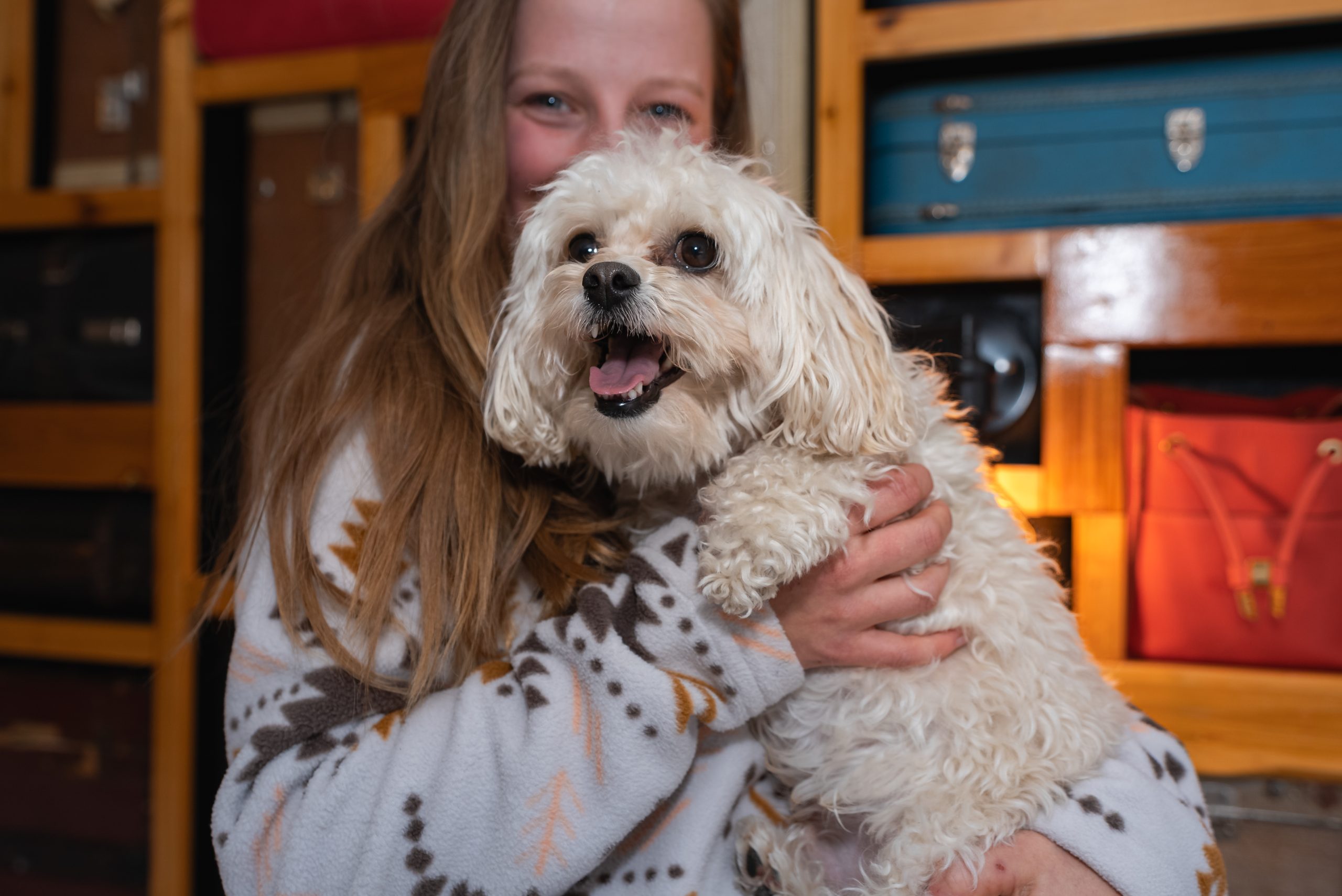 The Crash Hotel in Squamish is a pet friendly hotel. 