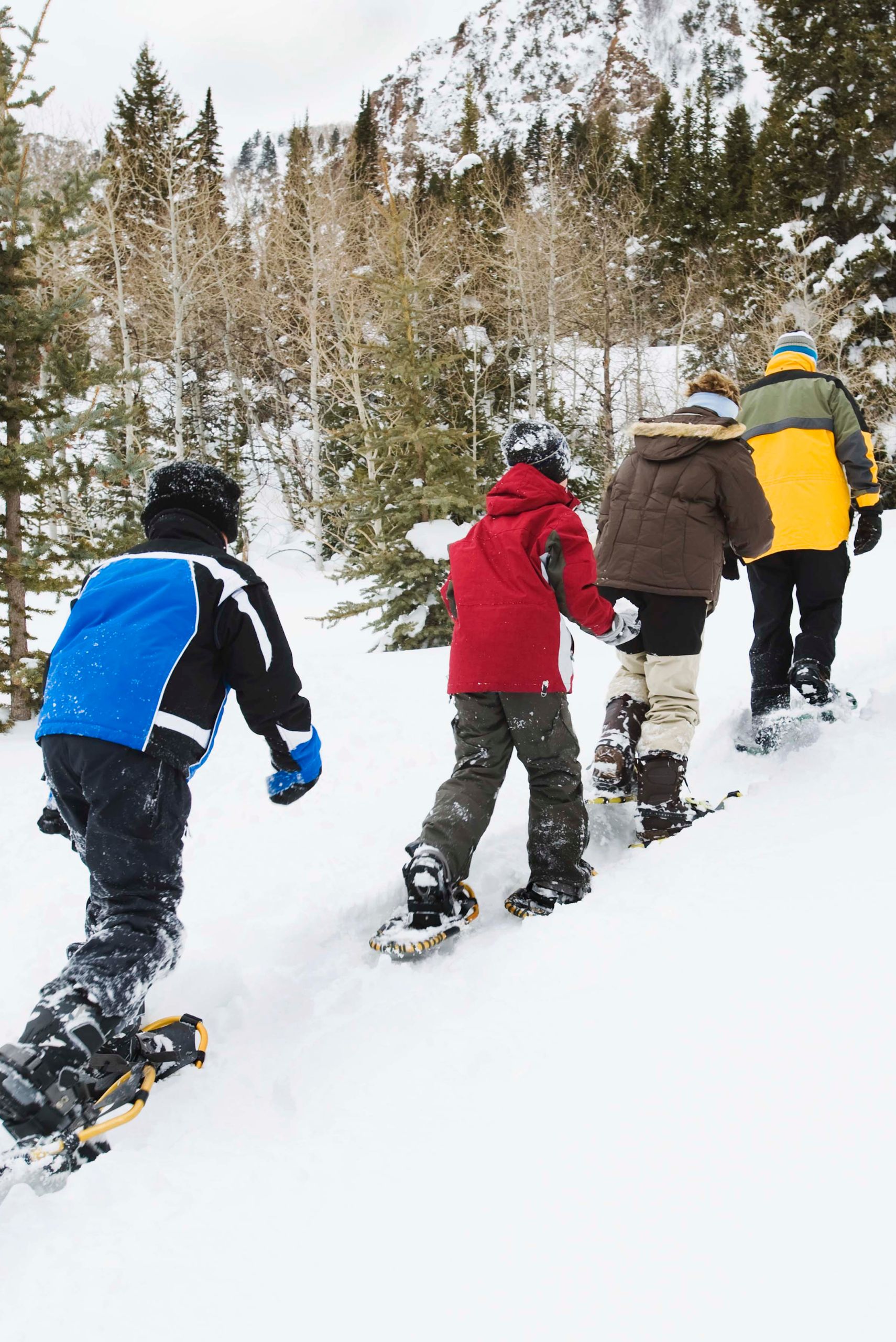 Enjoy snowshoeing in Squamish during the winter months. 